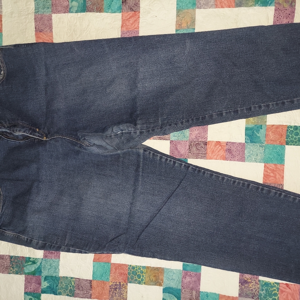 Gloria Vanderbilt 20W Amanda Blue Denim Jean